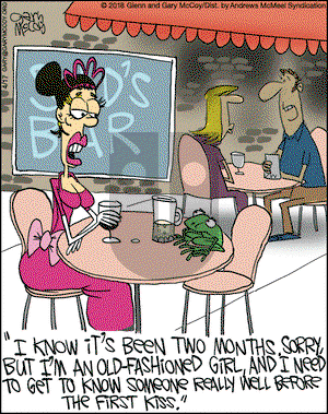 The Flying McCoys on Tuesday April 17, 2018 Comic Strip