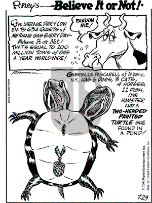 Ripley's Believe It or Not on Tuesday July 29, 2003 Comic Strip