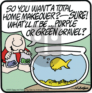 Ziggy - Tuesday May 30, 2023 Comic Strip