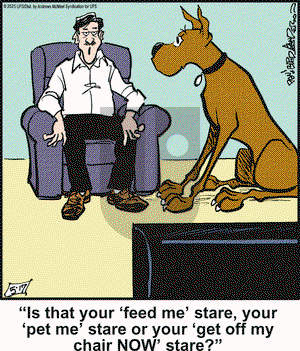 Marmaduke on Saturday May 17, 2025 Comic Strip