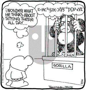 Ziggy on Friday May 21, 1999 Comic Strip