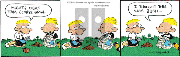 Soup to Nutz - Old on Wednesday July 1, 2009 Comic Strip