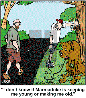 Marmaduke on Thursday September 30, 2021 Comic Strip