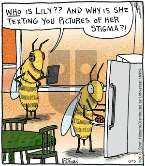 The Argyle Sweater on Monday June 15, 2015 Comic Strip