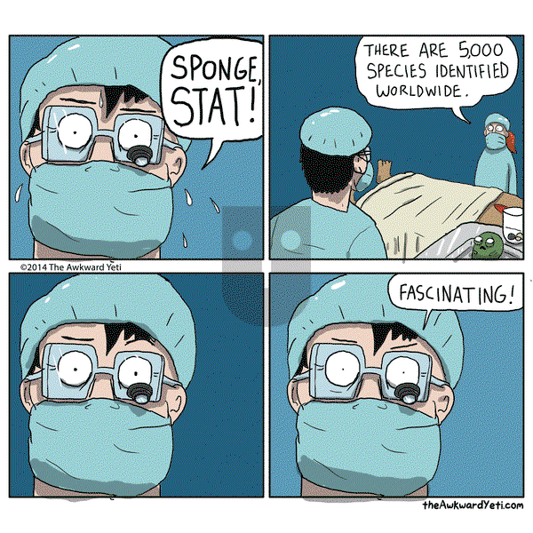 The Awkward Yeti - Wednesday February 4, 2015 Comic Strip