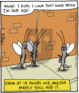The Argyle Sweater on Friday September 6, 2019 Comic Strip