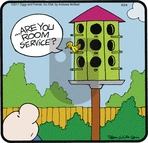 Ziggy on Saturday June 24, 2017 Comic Strip
