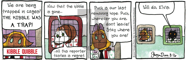 Breaking Cat News on Wednesday August 16, 2017 Comic Strip
