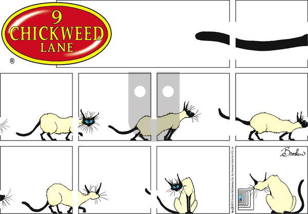 9 Chickweed Lane on Sunday April 12, 2015 Comic Strip
