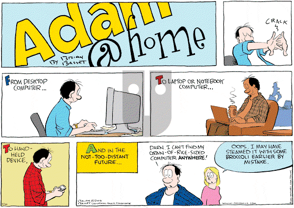 Adam@Home - Sunday April 20, 2008 Comic Strip