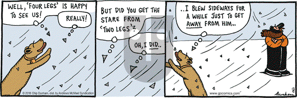 Overboard on Saturday December 1, 2018 Comic Strip