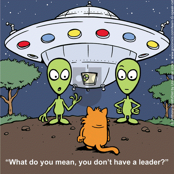Learn to Speak Cat on Thursday February 20, 2025 Comic Strip