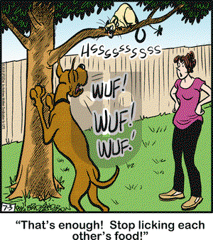 Marmaduke on Tuesday July 3, 2018 Comic Strip