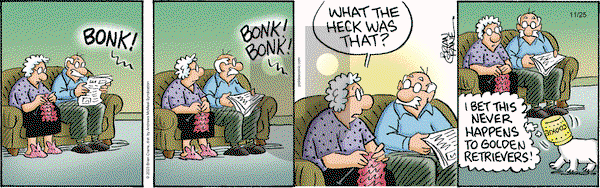 Pickles - Saturday November 25, 2023 Comic Strip