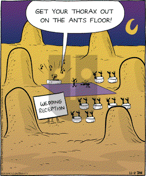 Brevity - Saturday November 2, 2024 Comic Strip