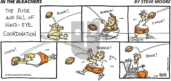 In the Bleachers on Sunday January 6, 2002 Comic Strip