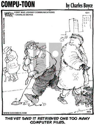 Compu-toon on Saturday December 1, 2007 Comic Strip