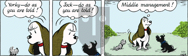 Fred Basset on Tuesday May 24, 2016 Comic Strip