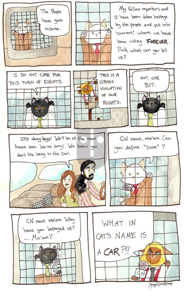 Breaking Cat News on Sunday September 11, 2016 Comic Strip