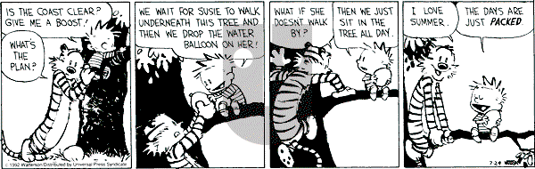 Calvin and Hobbes - Friday July 24, 1992 Comic Strip