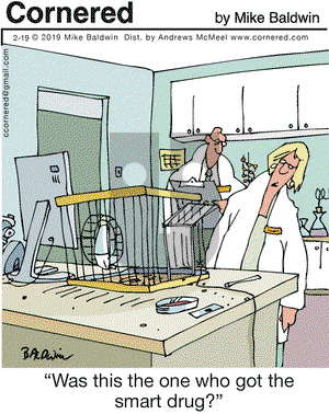 Cornered on Tuesday February 19, 2019 Comic Strip