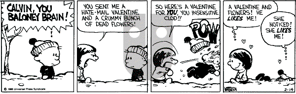 Calvin and Hobbes - Friday February 14, 1986 Comic Strip