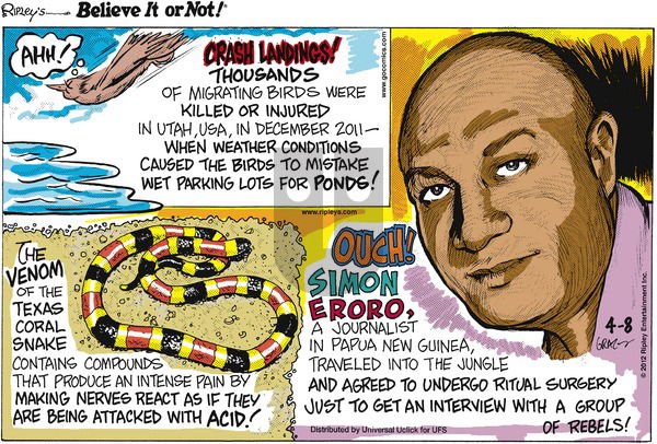 Ripley's Believe It or Not on Sunday April 8, 2012 Comic Strip