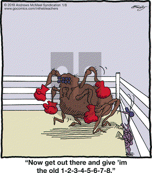 In the Bleachers on Tuesday January 8, 2019 Comic Strip