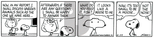 Peanuts on Saturday April 29, 1978 Comic Strip