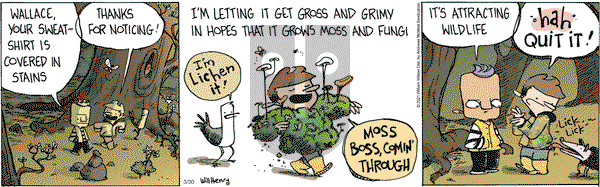 Wallace the Brave on Tuesday March 30, 2021 Comic Strip