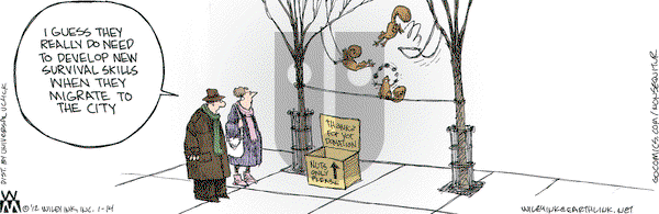 Non Sequitur on Saturday January 14, 2012 Comic Strip