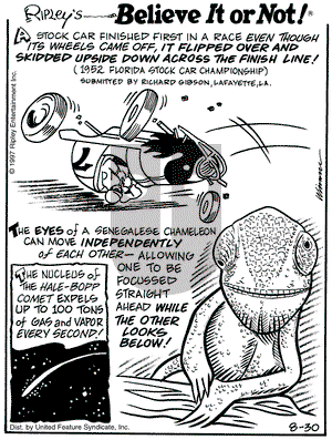 Ripley's Believe It or Not on Saturday August 30, 1997 Comic Strip