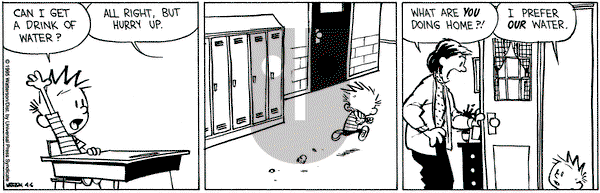 Calvin and Hobbes on Thursday April 6, 1995 Comic Strip