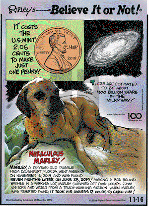 Ripley's Believe It or Not on Saturday November 16, 2019 Comic Strip