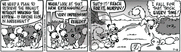 Rose is Rose on Sunday August 17, 2008 Comic Strip