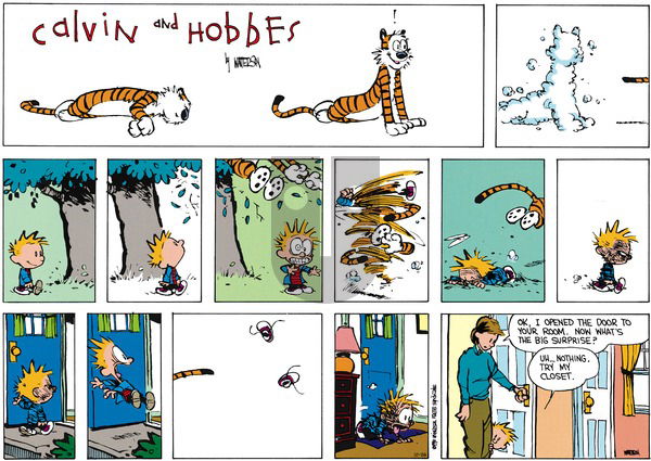 Calvin and Hobbes on Sunday October 26, 2014 Comic Strip