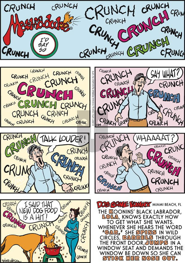 Marmaduke on Sunday January 24, 2021 Comic Strip