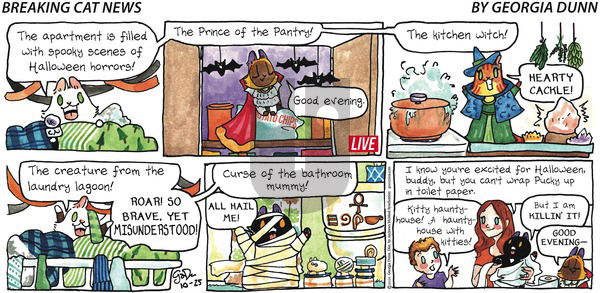 Breaking Cat News on Sunday October 25, 2020 Comic Strip