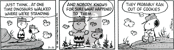 Peanuts - Saturday July 21, 1990 Comic Strip