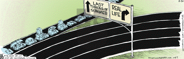 Non Sequitur on Monday August 30, 2010 Comic Strip
