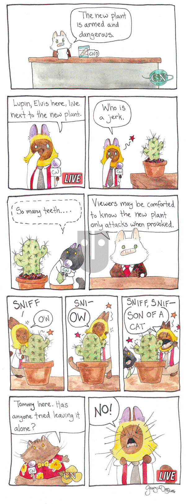Breaking Cat News on Monday February 13, 2017 Comic Strip