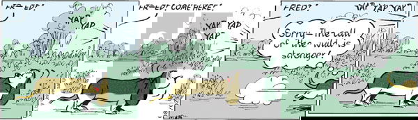 Fred Basset on Tuesday August 2, 2011 Comic Strip