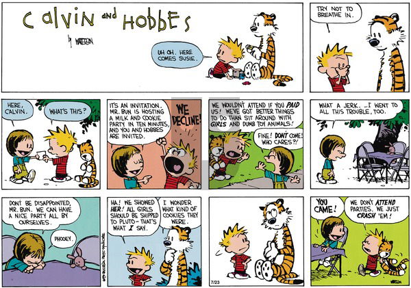 Calvin and Hobbes on Sunday September 9, 1990 Comic Strip