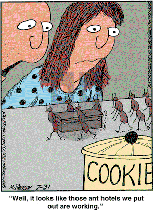 Close to Home - Wednesday July 31, 2013 Comic Strip