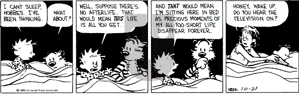 Calvin and Hobbes - Saturday October 21, 1989 Comic Strip