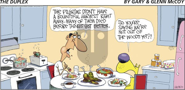 The Duplex on Sunday November 24, 2019 Comic Strip
