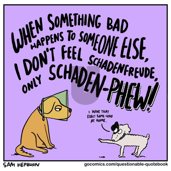 Questionable Quotebook on Sunday January 19, 2025 Comic Strip