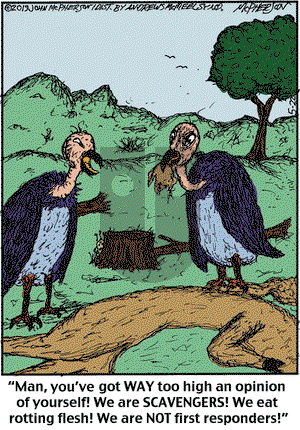 Close to Home on Wednesday May 22, 2019 Comic Strip