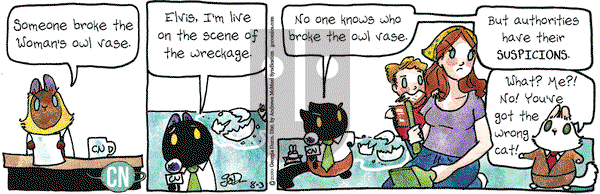Breaking Cat News on Monday August 3, 2020 Comic Strip