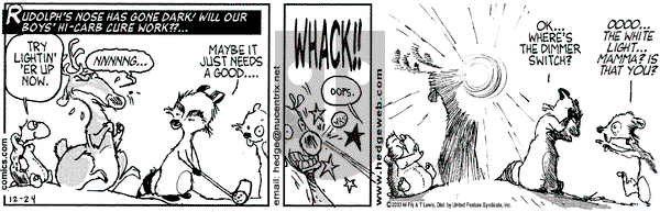 Over the Hedge on Wednesday December 24, 2003 Comic Strip